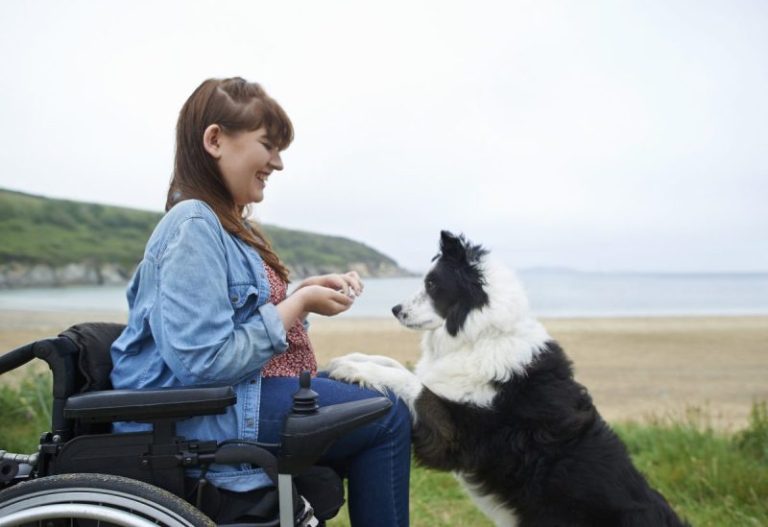 Dog Training: Come