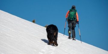 Video Captures Skier & Her Dog Brave an Avalanche