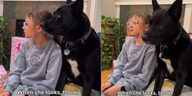 Video: Dog & Kid Look in the Same Direction at the Same Time