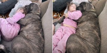 Video: Dog & Kid Show How to Spend Sunday Perfectly