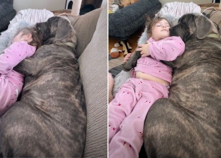 Video: Dog & Kid Show How to Spend Sunday Perfectly