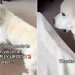Video: Dog Surprises Owner With ‘Extremely Urgent Matter’